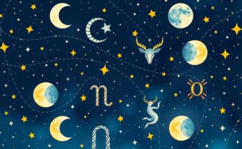 Celestial backdrop featuring zodiac signs, moon phases, and cosmic elements in vibrant colours with astrological motifs.