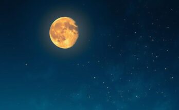 A vibrant night sky with a First Quarter Moon in Leo, symbolising bold love decisions and courage.