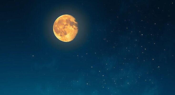 A vibrant night sky with a First Quarter Moon in Leo, symbolising bold love decisions and courage.