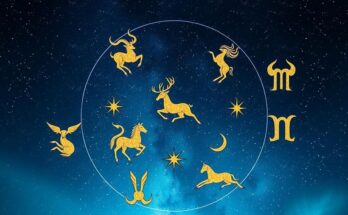 Astrological symbols representing zodiac signs in a harmonious starry night background.