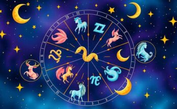Illustration depicting Zodiac signs with vibrant colours, celestial patterns, and mystical elements.